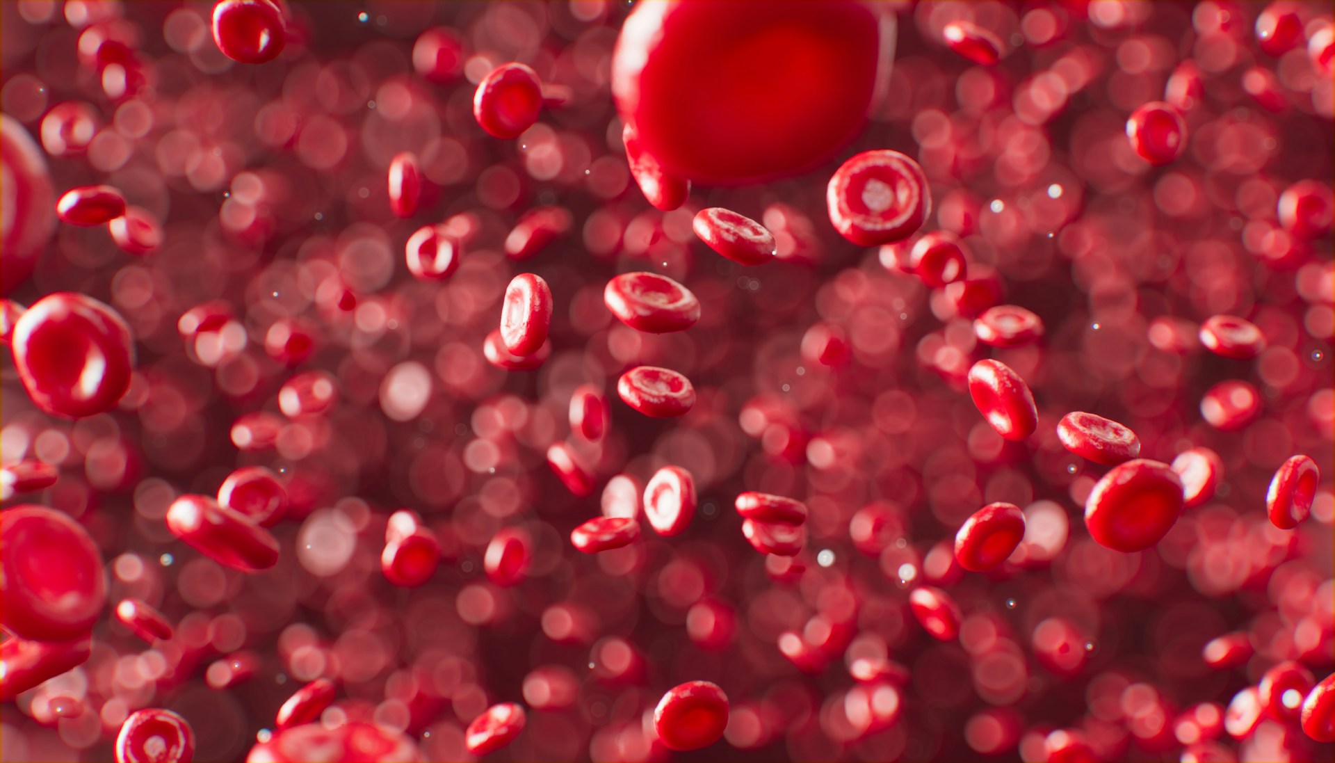 A 3D rendering of red blood cells flowing through the bloodstream, representing haematology and blood disorders.