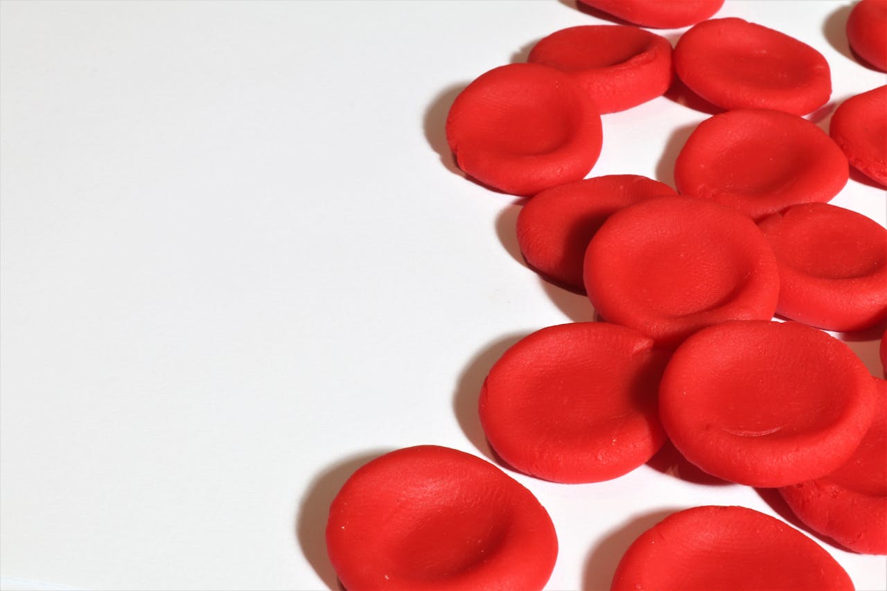 Red blood cell replicas used for haematology education and research.
